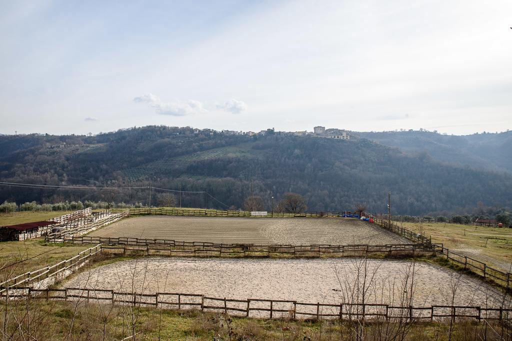 La Tenuta - Resort Agricolo Casaprota Exterior photo